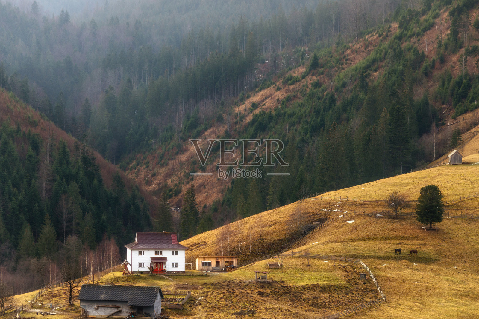 喀尔巴阡山脉风景优美的村庄。在一个阳光明媚的日子，位于山坡上的房子和山峰的背景。意象春天的自然。照片摄影图片