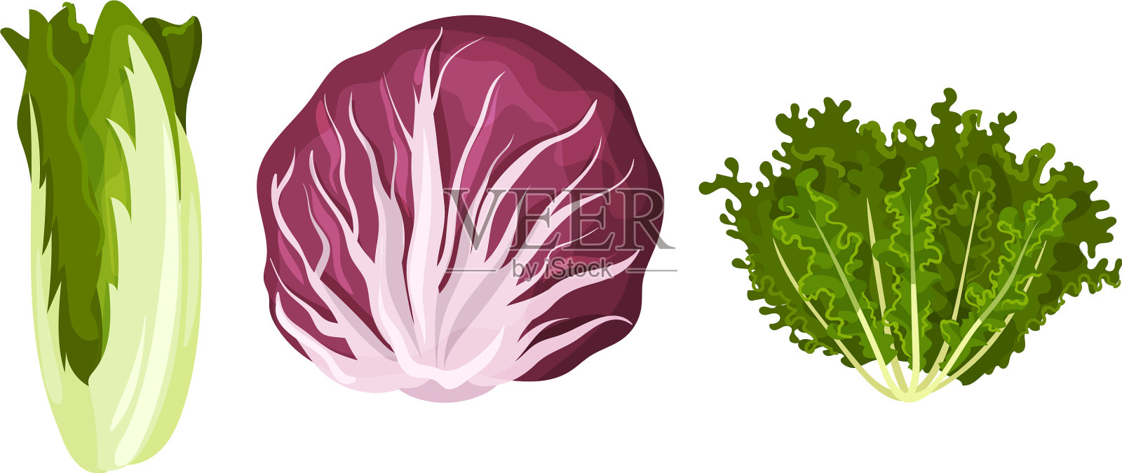 叶类蔬菜或沙拉蔬菜可食用设计元素图片