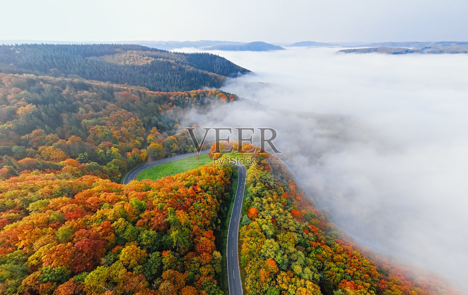 鸟瞰图秋林路在晨雾中。Mosele山谷,德国。照片摄影图片