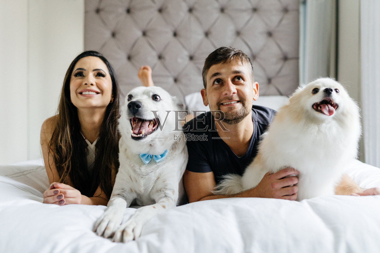 夫妇和狗在床上看电视照片摄影图片