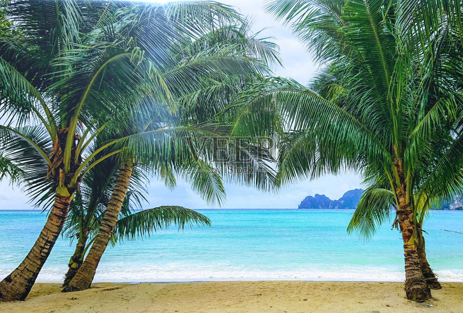 热带海滩椰子树和天空的背景照片摄影图片