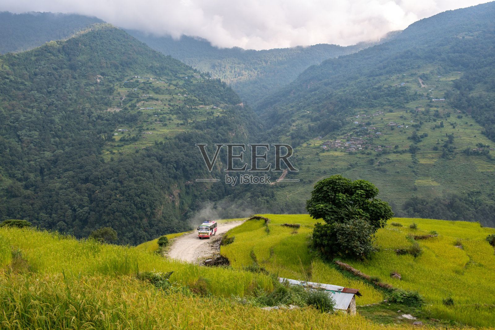 当地公共汽车行驶在陡峭危险的山路上，前往尼泊尔的Ghandruk村。照片摄影图片