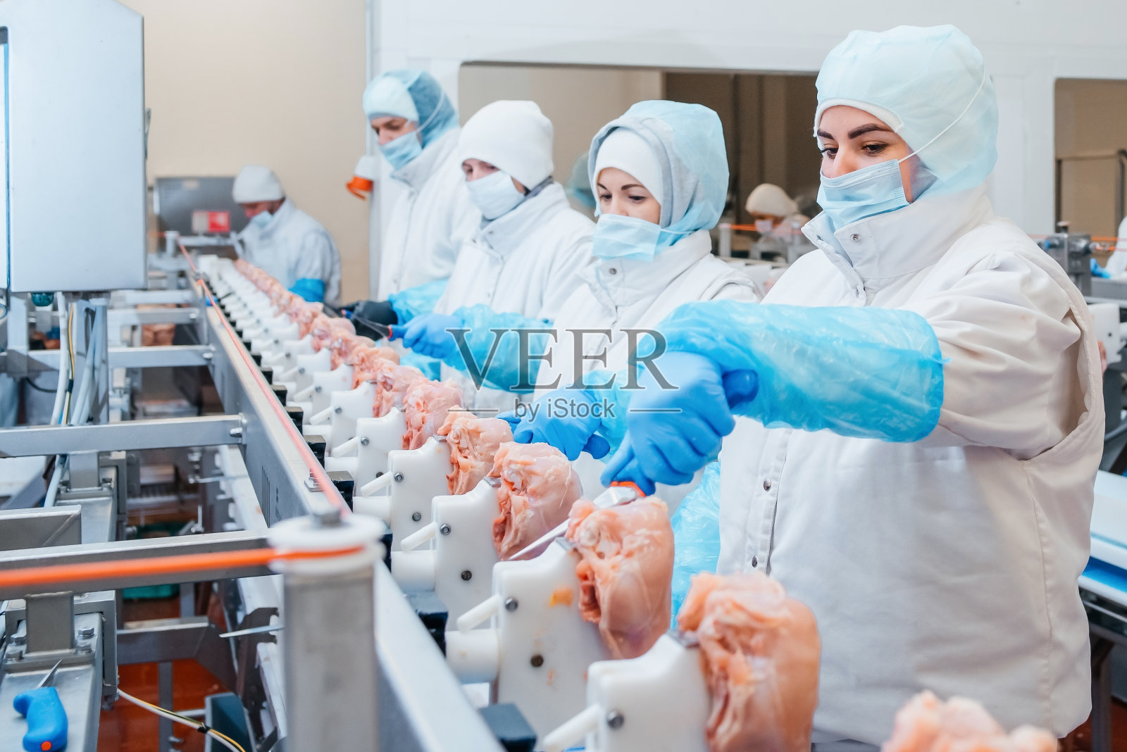 一群在鸡肉工厂工作的工人——食品加工厂的概念。现代化食品工厂的自动化生产线。饺子生产。工作的人。食品厂的生产线。照片摄影图片