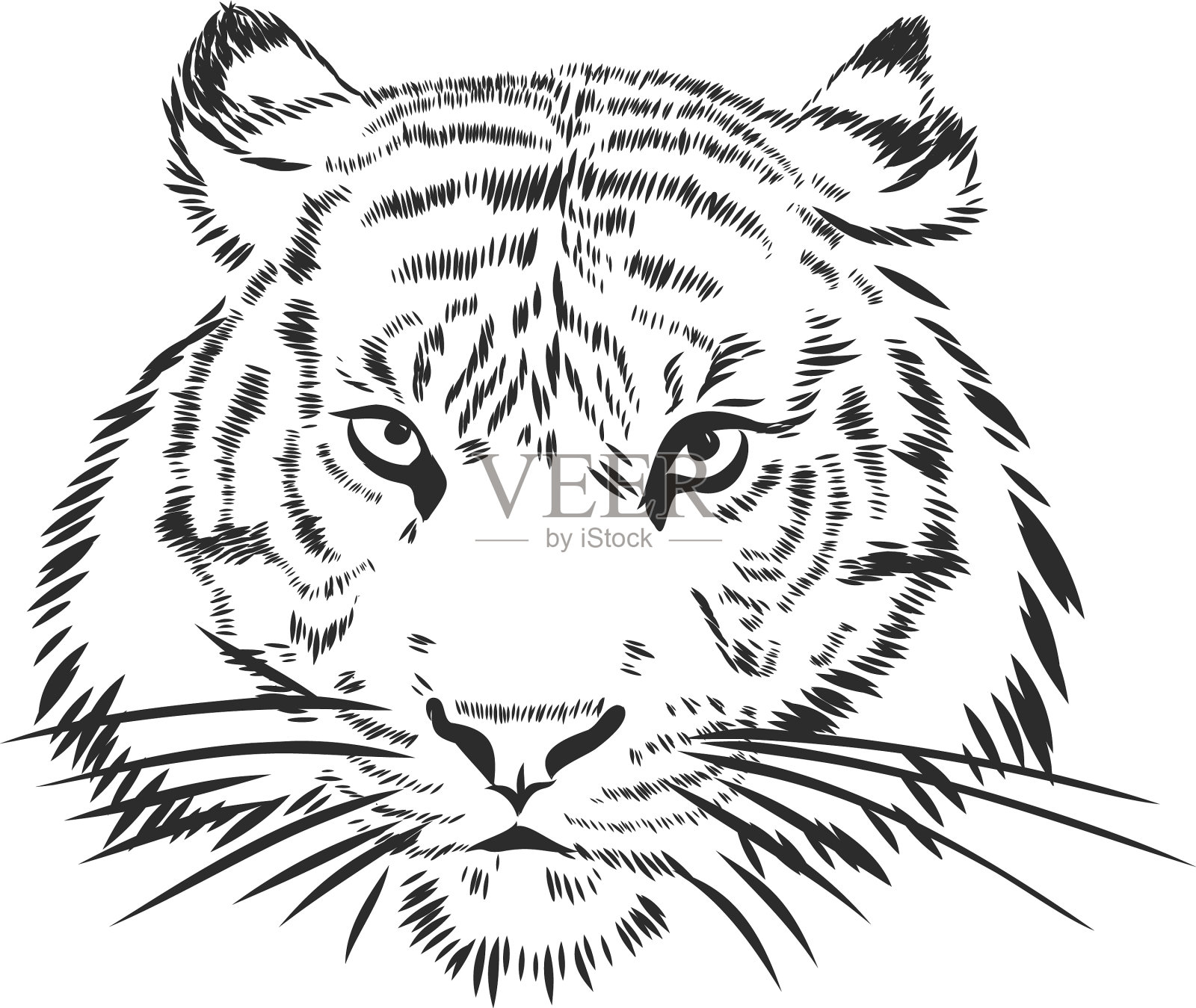 老虎剪影插图(老虎、剪影、保护动物、动物、野生动物、猛兽)国风插图_北极熊素材库