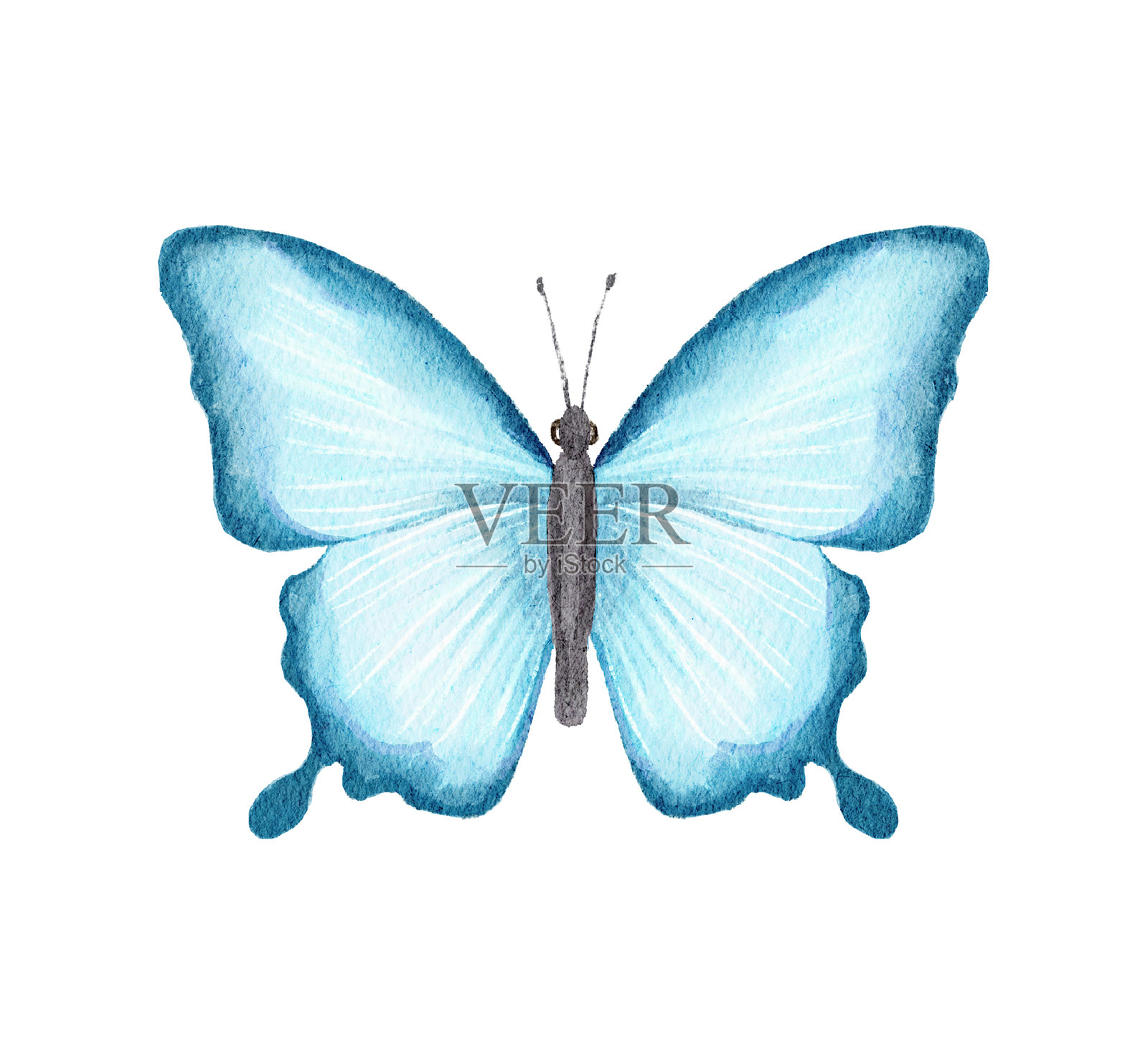 水彩插图与蓝色蝴蝶设计元素图片