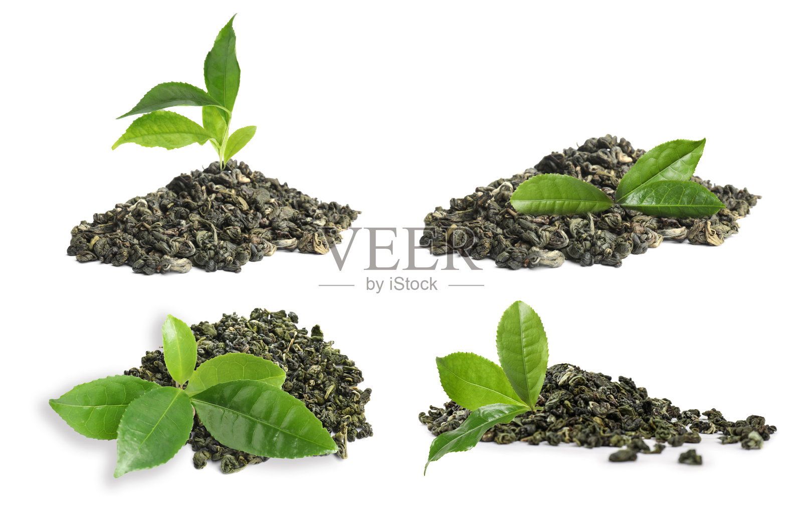 干绿茶和新鲜的叶子在白色的背景，拼贴照片摄影图片