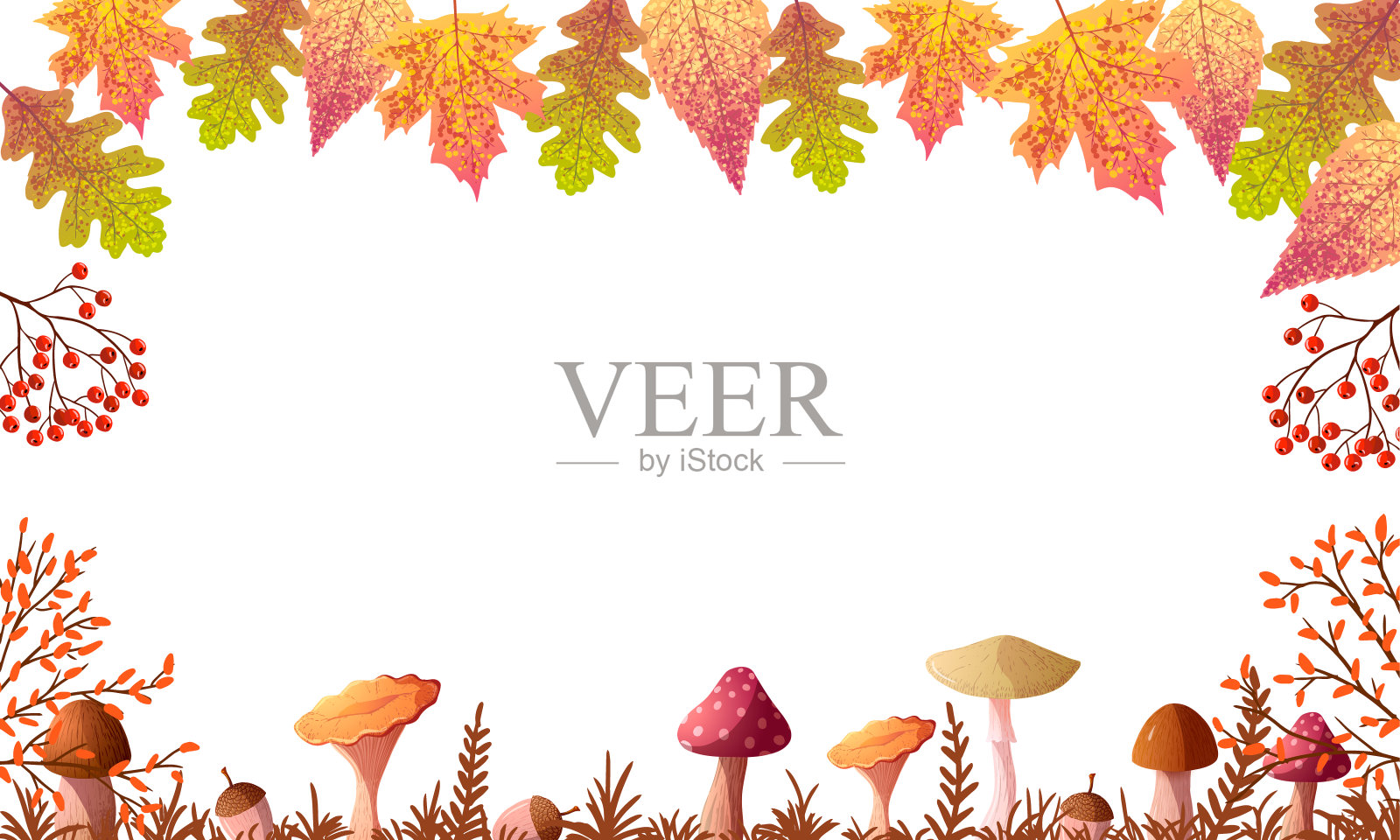 秋天的叶子和蘑菇插画图片素材