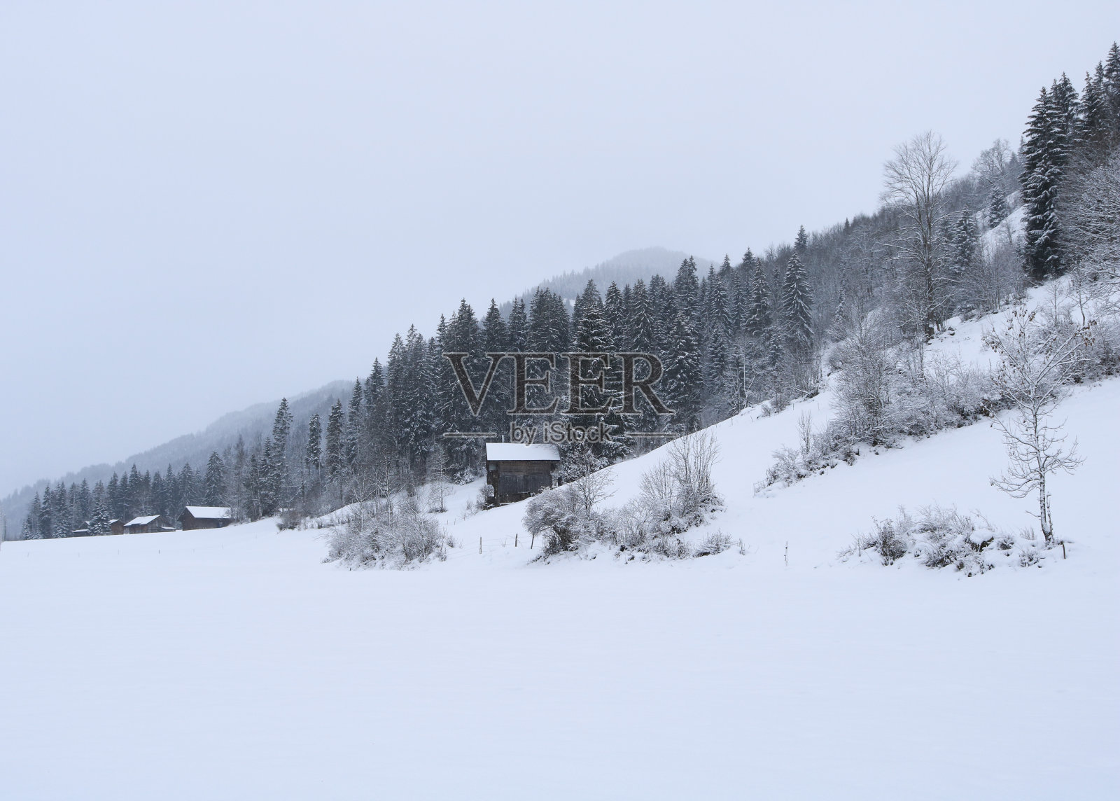 农村冬季背景。照片摄影图片