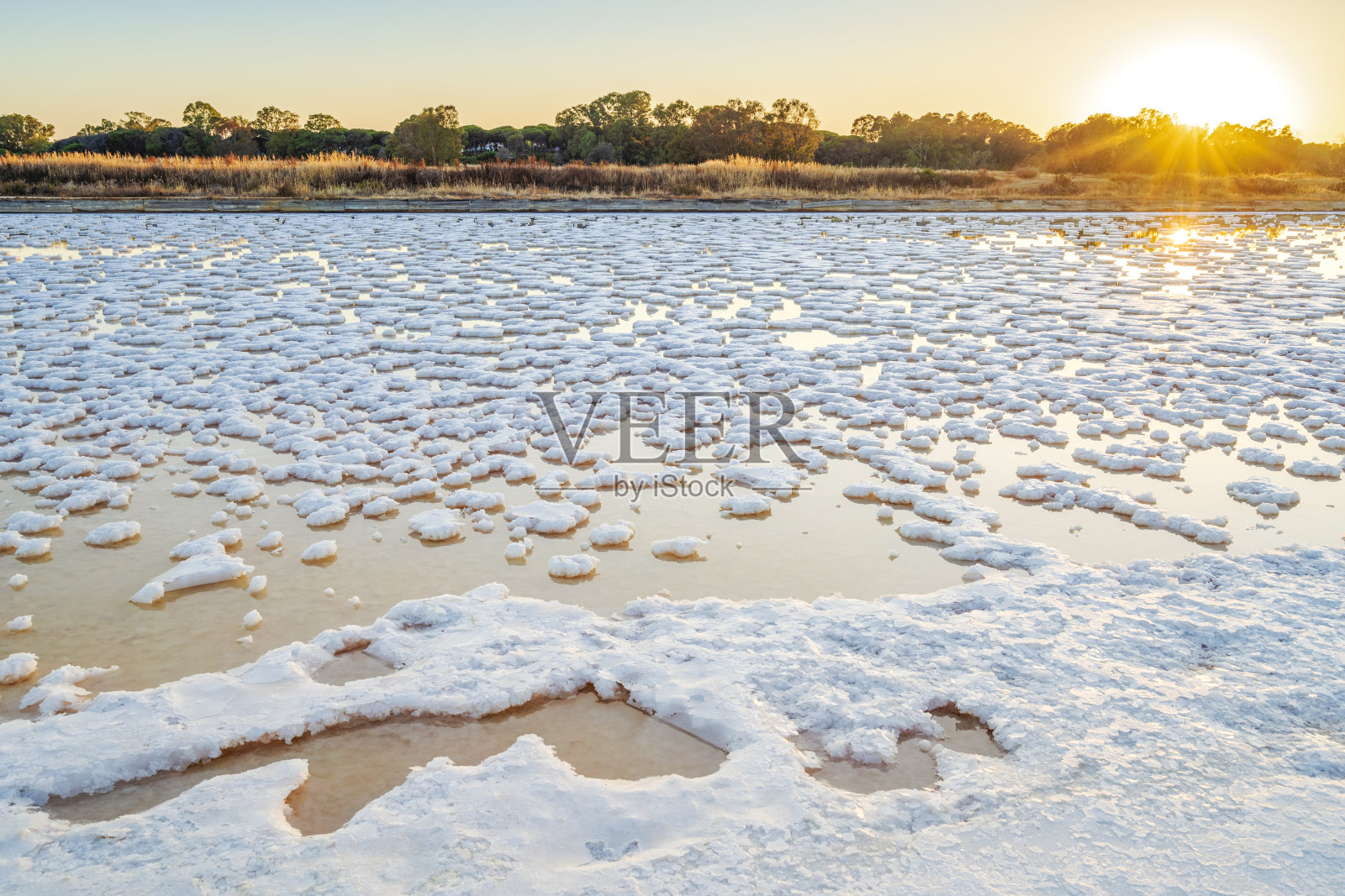葡萄牙法罗盐湖，海水蒸发后满是盐的池塘照片摄影图片