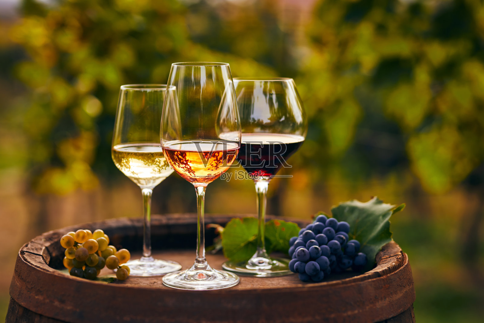 三杯白葡萄酒，rosÃ©，红酒和一个旧木桶，酒庄静物照片摄影图片