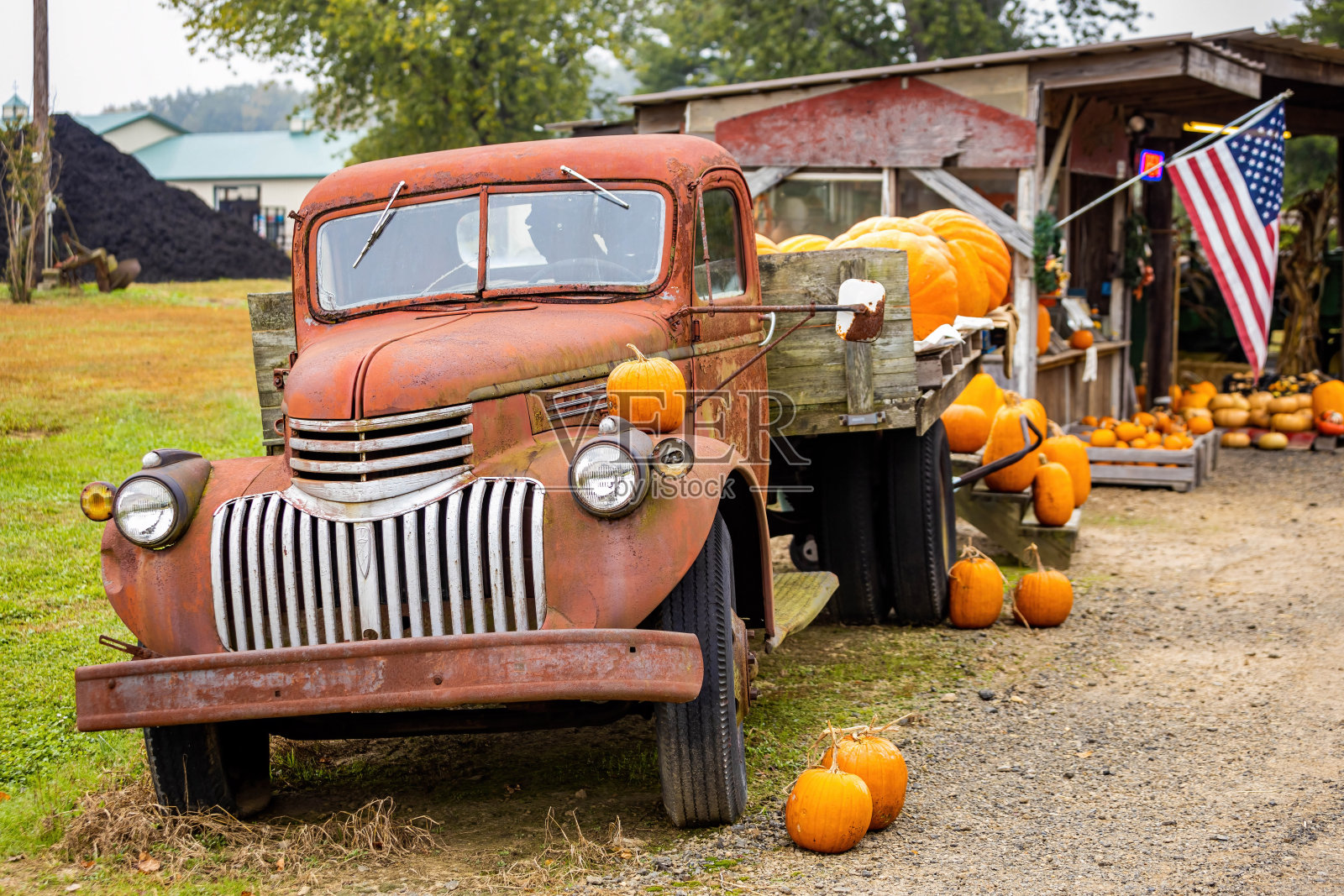 在秋天用美国国旗农民标志装南瓜的卡车照片摄影图片