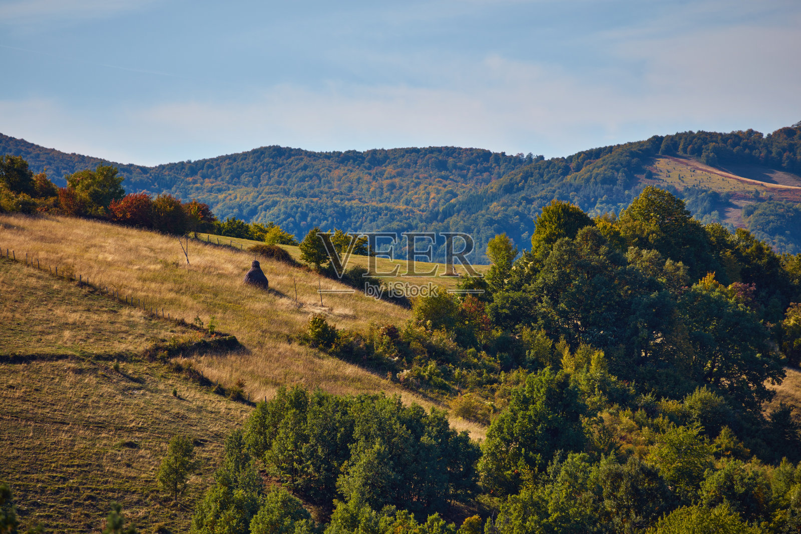 乡村丘陵景观在秋天的色彩。照片摄影图片