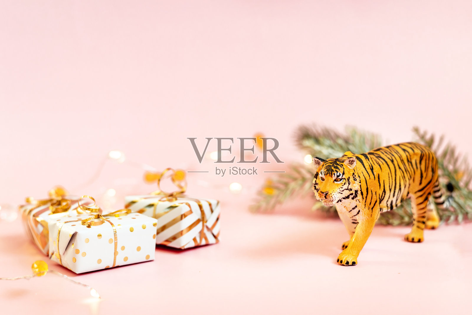 老虎象征着2022年的中国新年。云杉树枝老虎雕像和粉色粉彩背景的金色礼盒。副本的空间。照片摄影图片