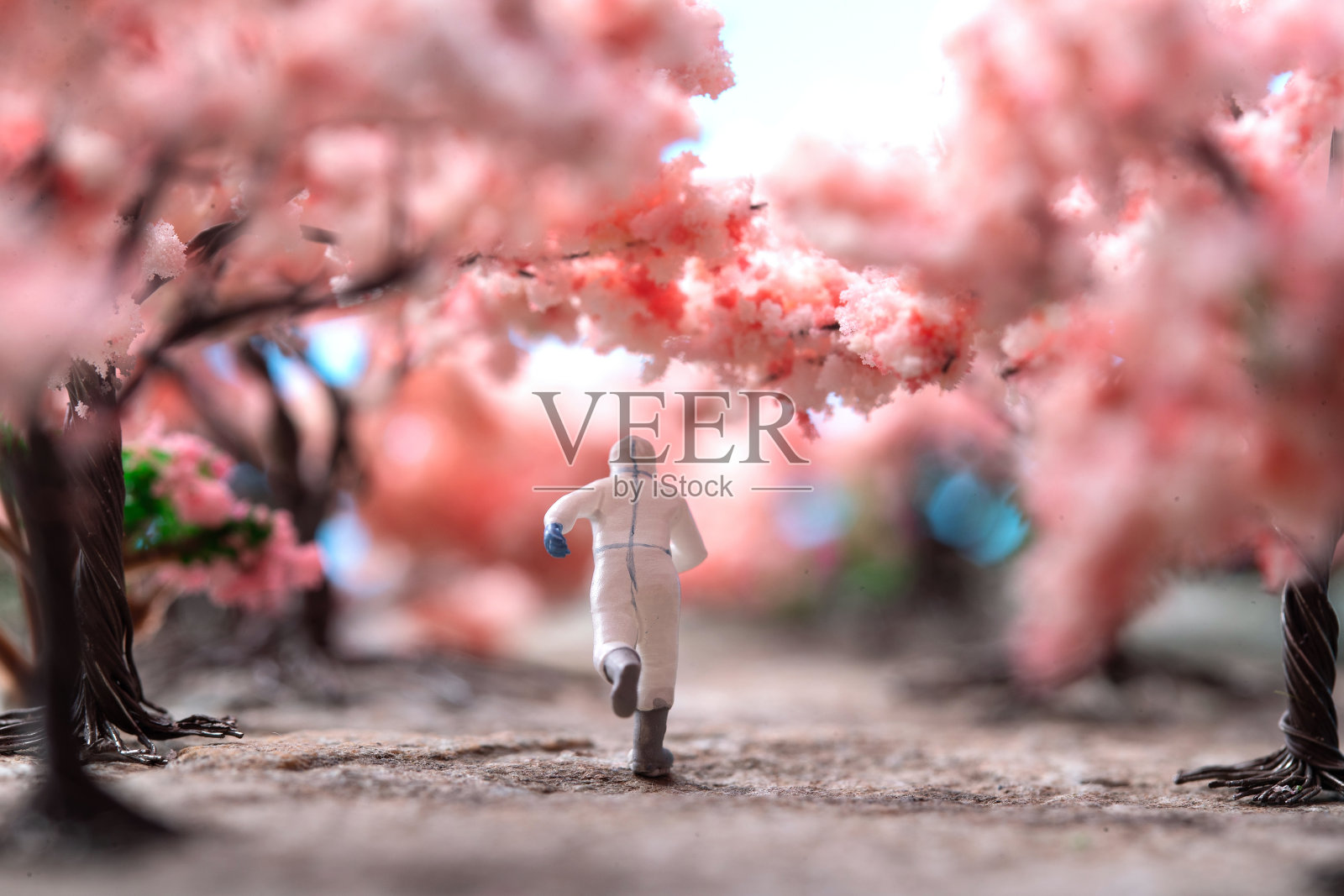 樱花树下的医护人员奔跑的背影照片摄影图片