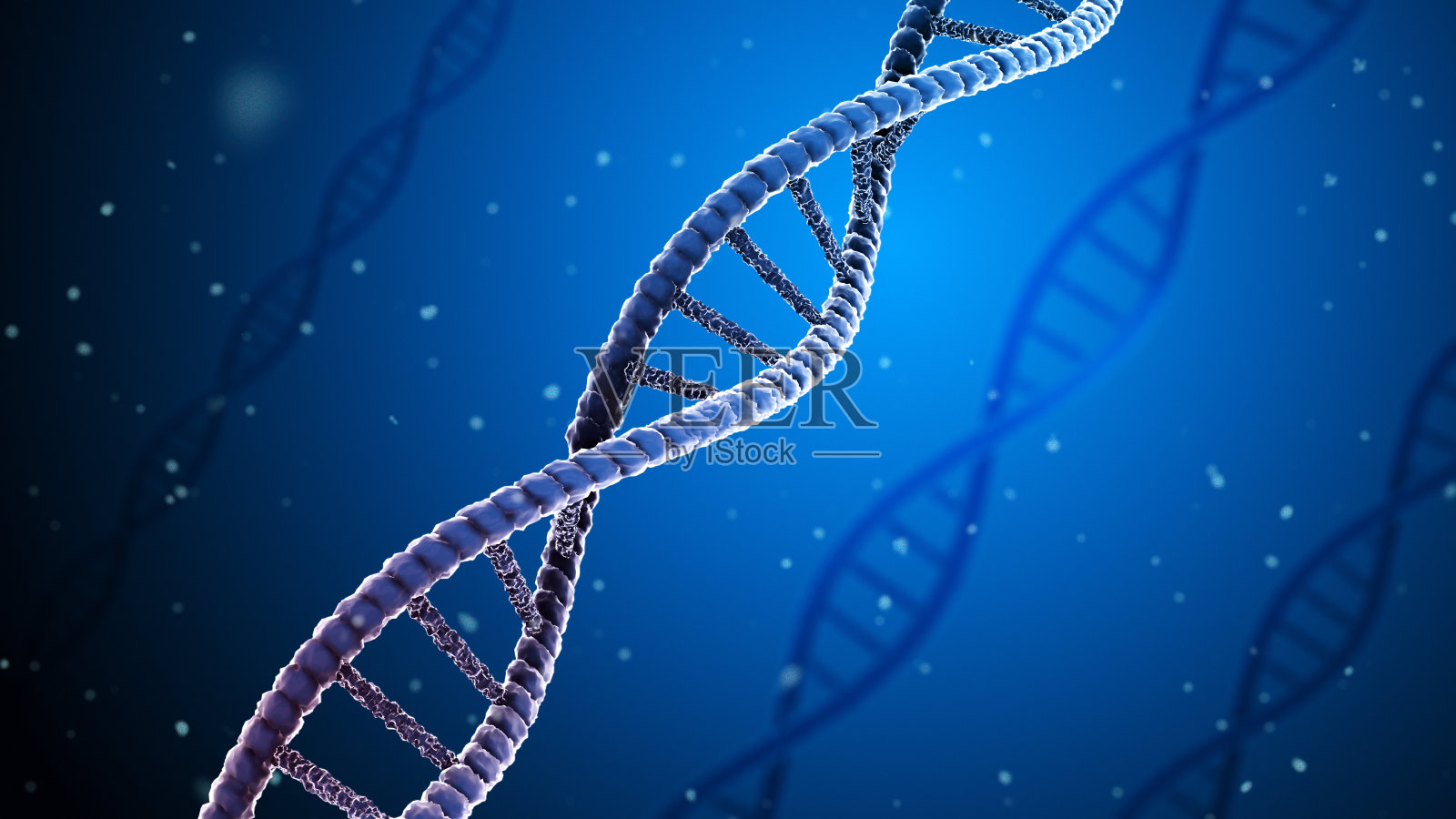 摘要DNA 3D动画在蓝色背景。动画的多个DNA分子或DNA菌株浮动在蓝色背景。照片摄影图片