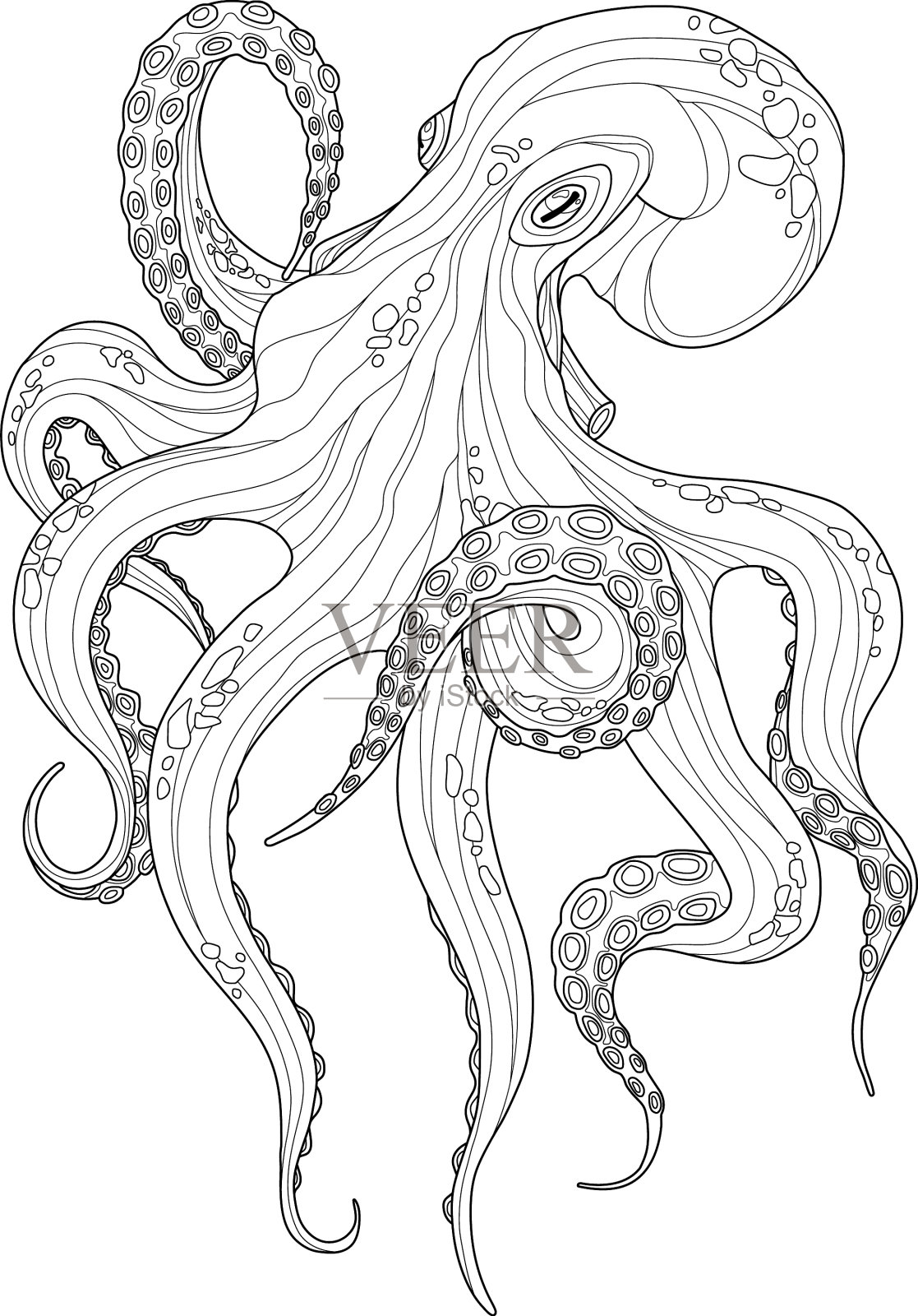 章鱼海洋动物素描的红色海洋软体动物插画图片素材_ID:316953766-Veer图库
