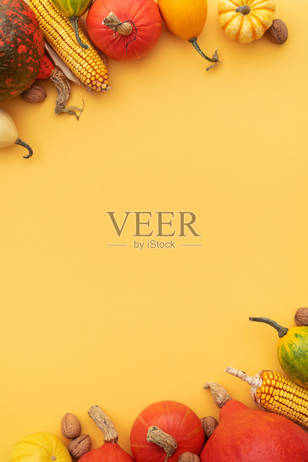 秋天的背景设计与框架的彩色南瓜和南瓜照片摄影图片