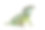 印度水龙Physingathus cocincinus的特写素材图片