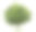 孤立的服务树与水果在一个白色的背景素材图片