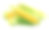 新鲜玉米配绿叶静物蔬菜素材图片