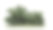 草丛中的美国黄杨丛，在白色的背景上孤立素材图片