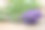 一束香草躺在紫丁香旁边素材图片