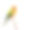 太阳锥尾鹦哥鸟素材图片