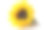 花:向日葵素材图片