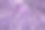 紫紫紫水晶石英水晶晶素材图片