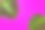 绿色的热带棕榈叶，粉红色的背景。最小平铺风格。头顶，俯视图，拷贝空间素材图片