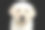 拉布拉多幼犬孤立在黑色背景素材图片