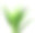 在白色背景上分离的芦荟植物素材图片