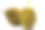 鲜切榴莲白色背景，近距离观看榴莲，榴莲D158素材图片