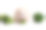 毛茸茸的仓鼠正在吃蔬菜与花椰菜卷心菜，孤立在白色的背景。有趣的动物。素材图片