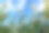 乔瓦谷高粱作物农场蓝天下素材图片