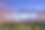 圣保罗伊比拉普埃拉公园的日落素材图片