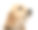 金毛猎犬幼犬的特写，7周大，看着远离白色的背景素材图片
