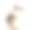 一只仓鼠的侧视图，孤立的白色素材图片