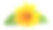 孤立在白色背景上的绿叶万寿菊(金盏花)素材图片
