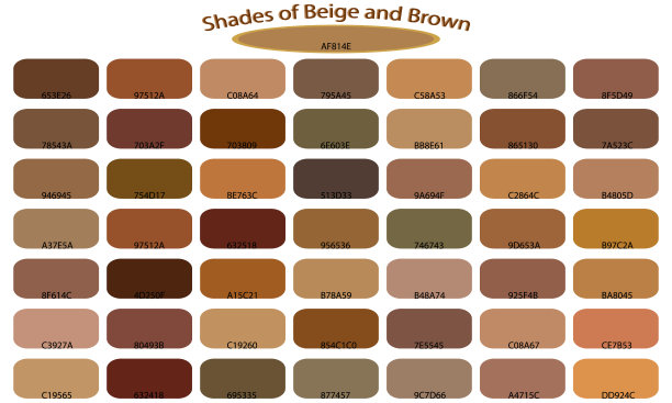 棕色和褐色的色卡图图片