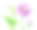 水彩植物插图，粉色荷花，东方园林自然，睡莲，绿叶，中国风墙纸，荷花，热带花卉剪辑艺术孤立的白色背景素材图片