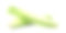 绿色新鲜芹菜。棍孤立在白色。素材图片