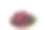 成熟的浆果果实和桑叶在棕色的碗上，在白色的背景下，健康的桑果食品分离素材图片