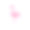 粉红色火烈鸟矢量插图孤立在白色的背景。素材图片