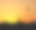 法国阿维尼翁的日落素材图片