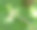 微距的橙色舞蝇(empis stercorea)在春季草地模糊散焦背景;无农药环保理念素材图片