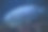 马铃薯石斑鱼(图库拉石斑鱼)游泳在深蓝色的水素材图片