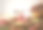 自制的传统美国南瓜派放在一张木桌上。背景是五颜六色的秋叶和一个南瓜。女孩装饰抹茶蛋糕。前视图。素材图片