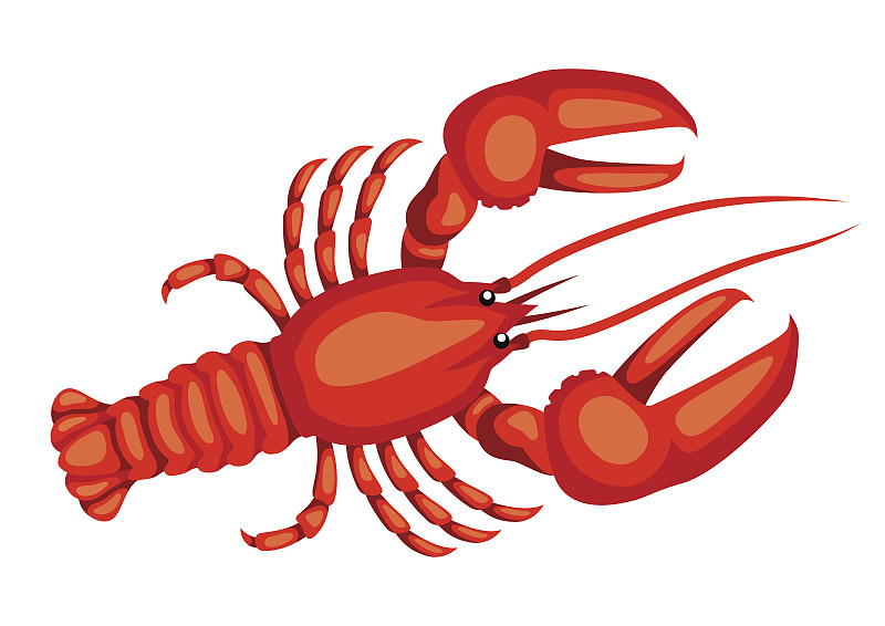 红色的龙虾。孤立的例证海鲜在白色的背景图片下载